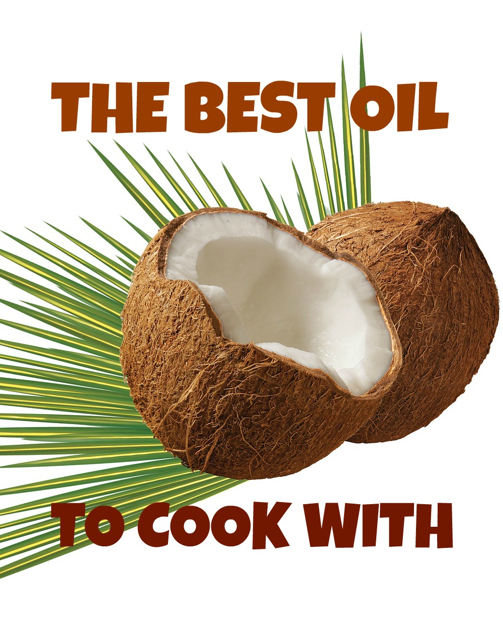 My favourite oil to cook with: coconut oil