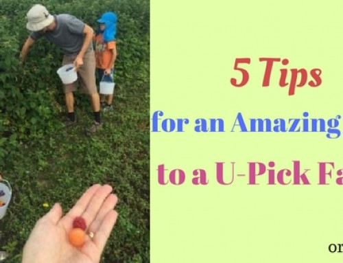 5 Tips for an Amazing Trip to a U-Pick Farm