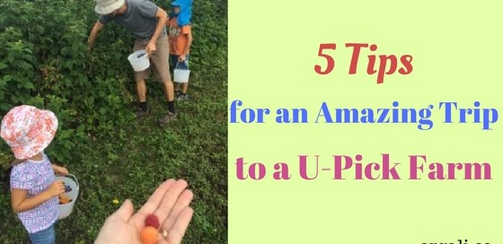 how to have fun at a U-pick farm